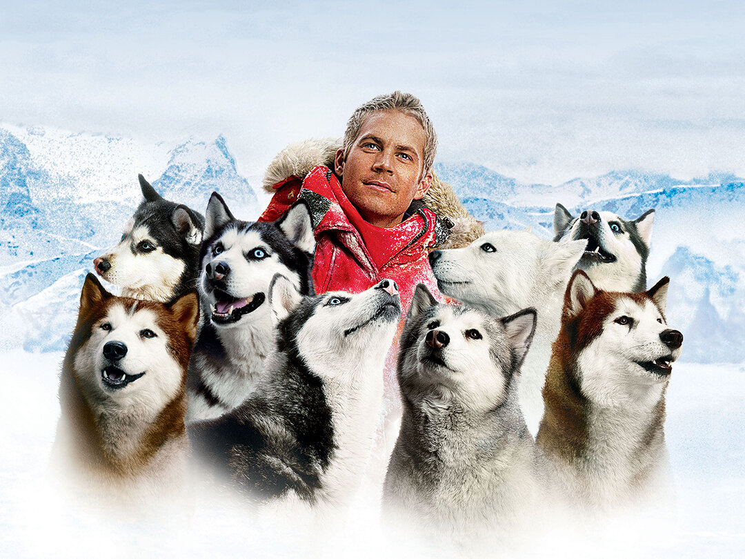 Источник: telesputnik.ru