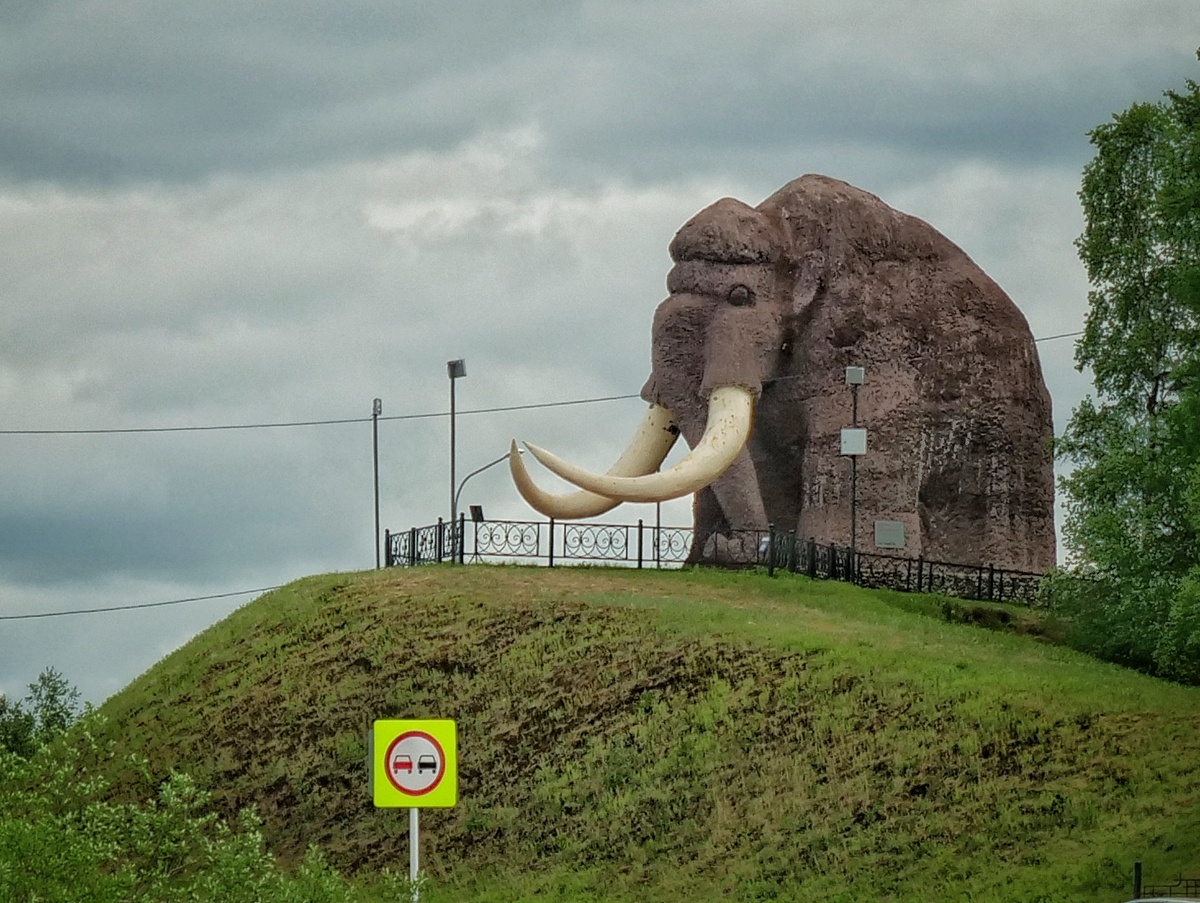 Последний оставшийся