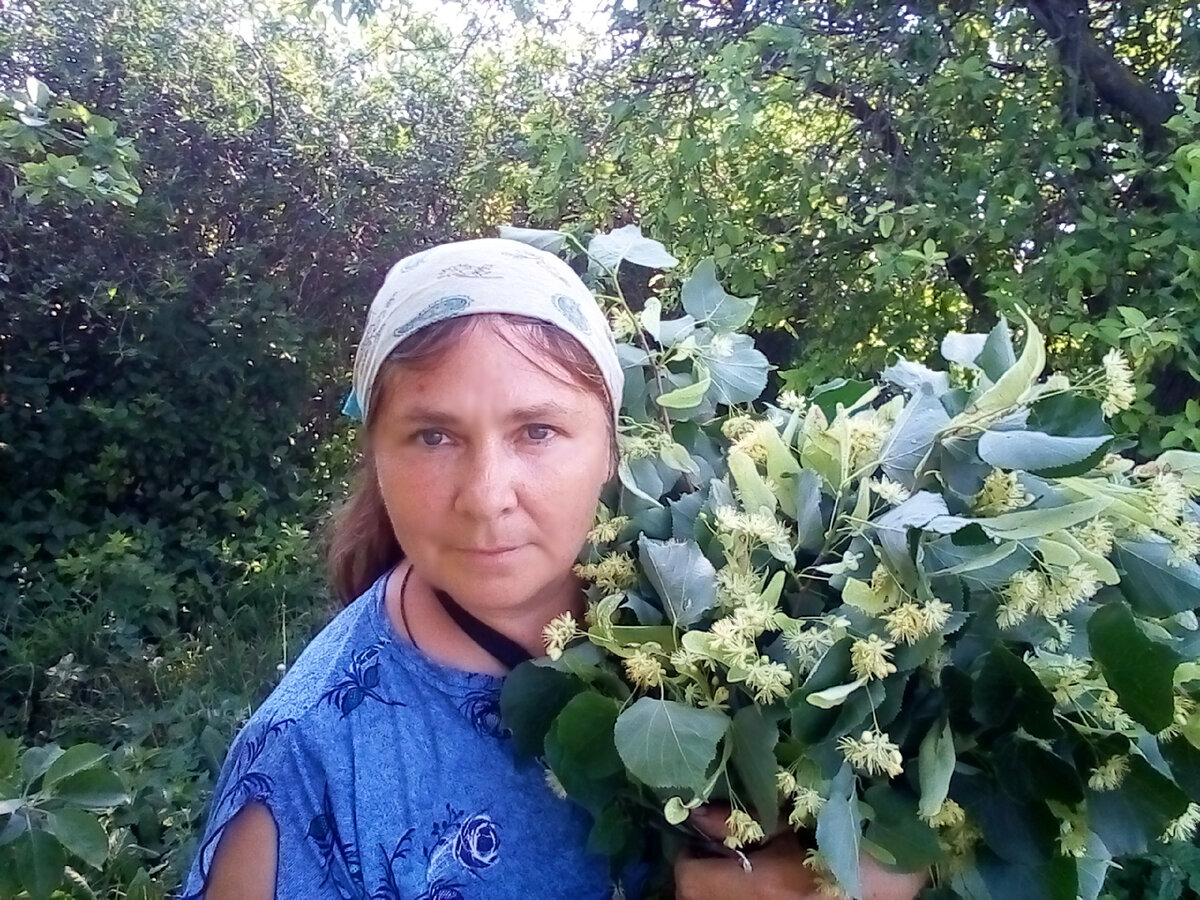 автор в липе