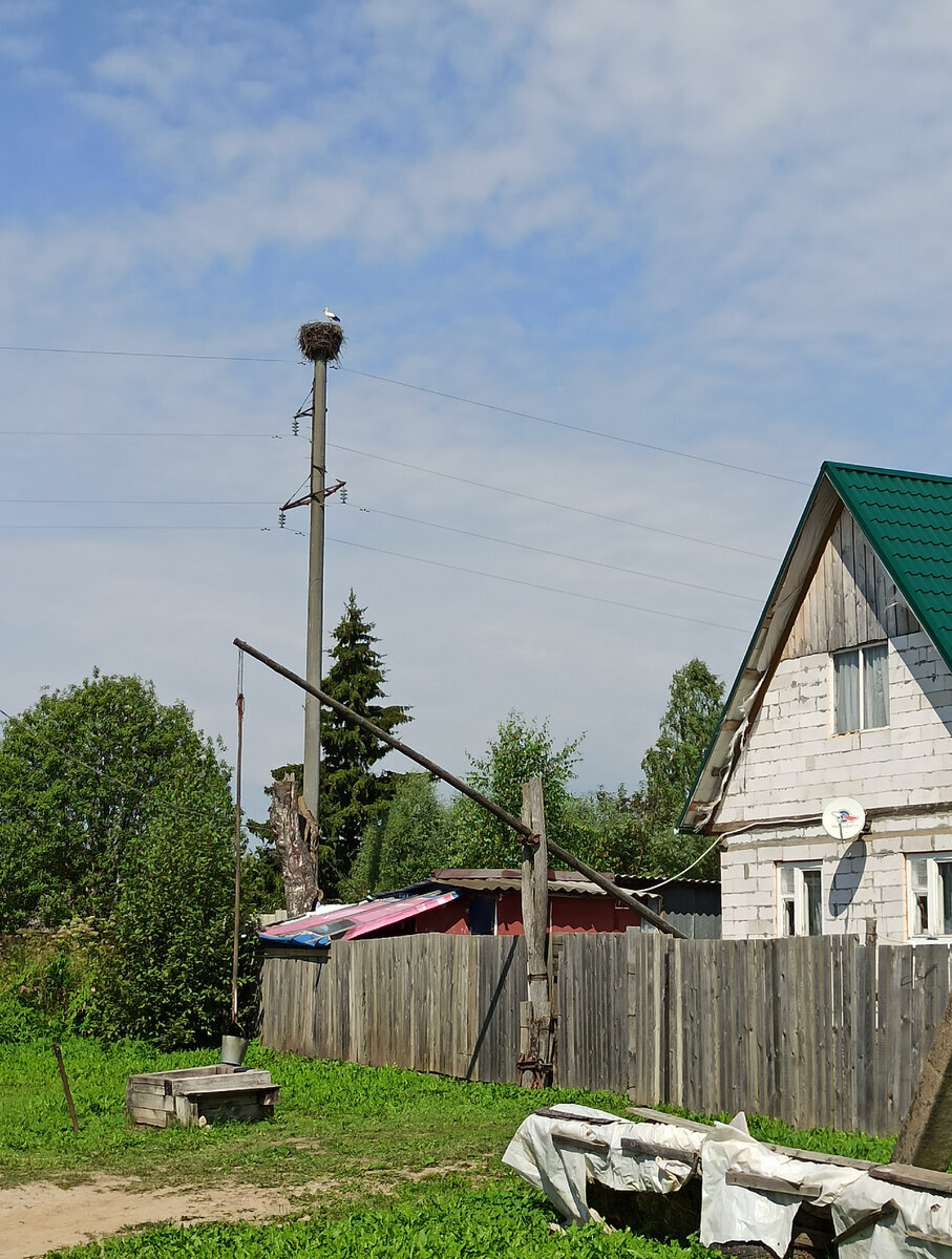 Добавьте описание