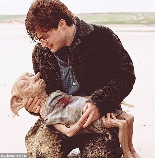 источник: google картинки 