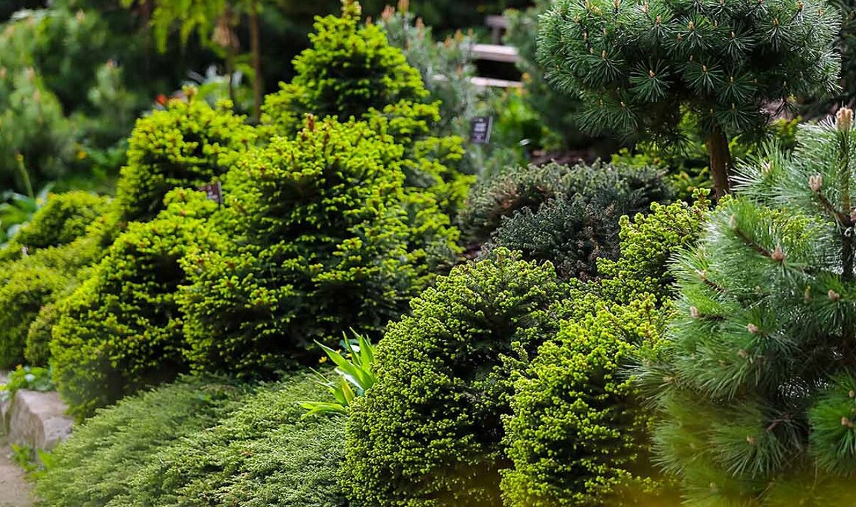 Изображение взято с сервиса Яндекс Картинки