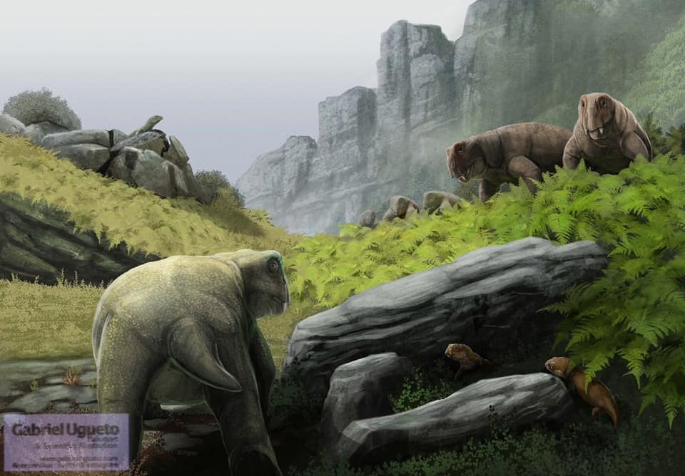Листрозавры: Звероящеры, пережившие апокалипсис. Когда 90% животных погибло, они выжили и расселились на всю планету!6