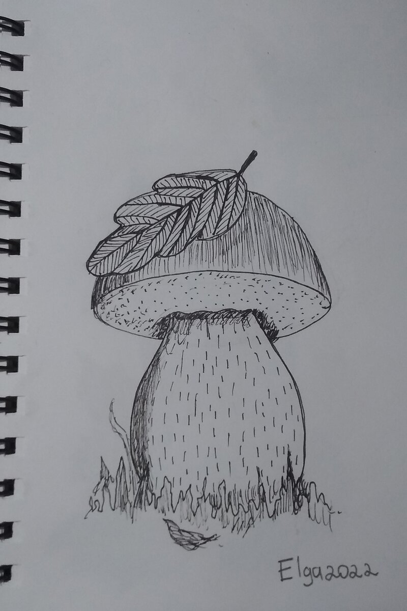 День5 Боровик