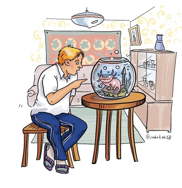 Исполнитель желаний