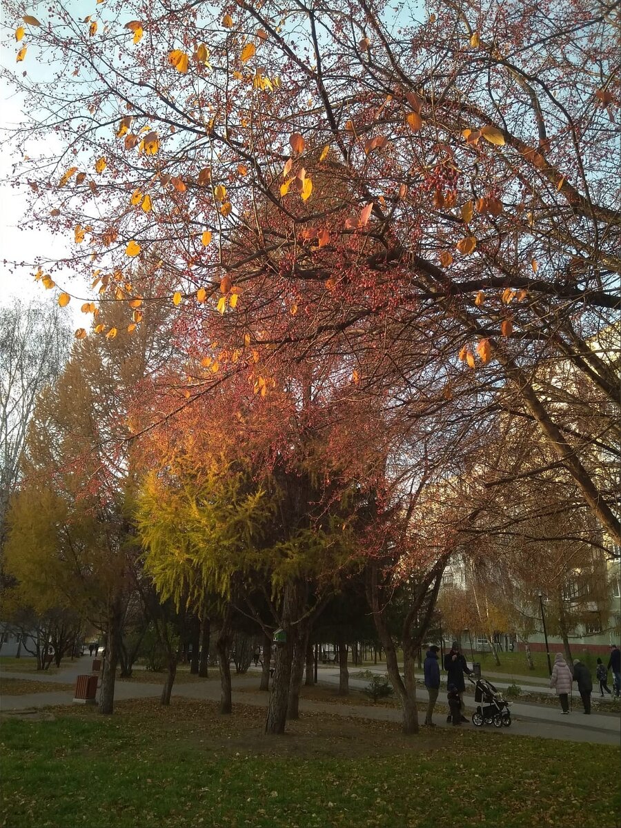 фото автора 