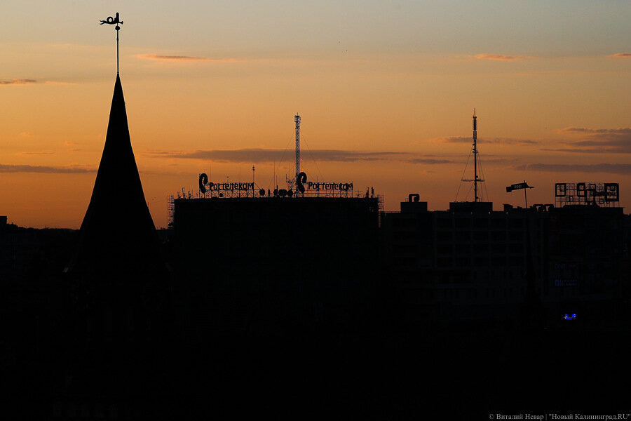 Фото: Виталий Невар / Новый Калининград