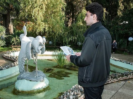   Пресс-служба администрации Сочи