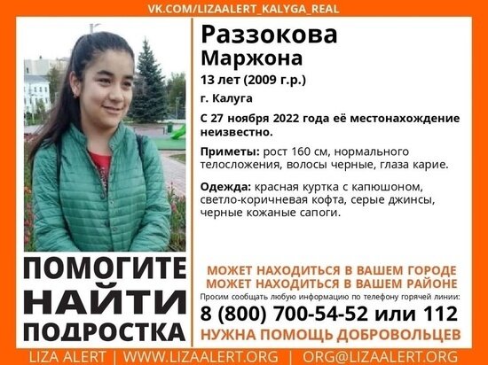     Фото: "Лиза Алерт Калуга"