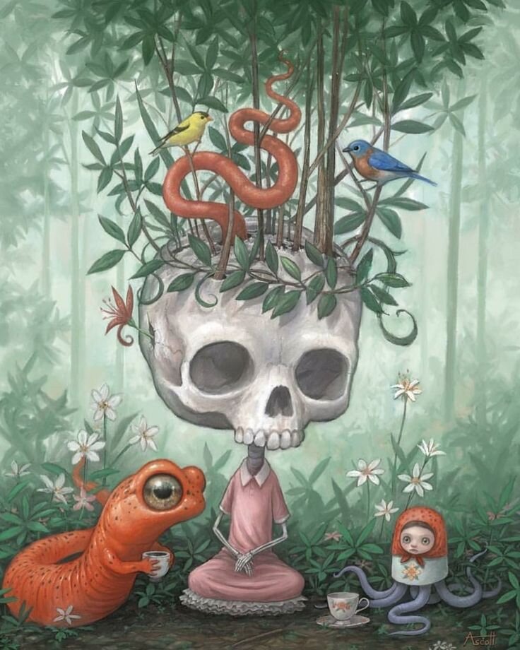 Иллюстрации: Томас Аскотт