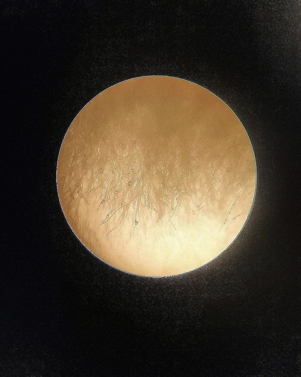 Споры Грибов под микроскопом 