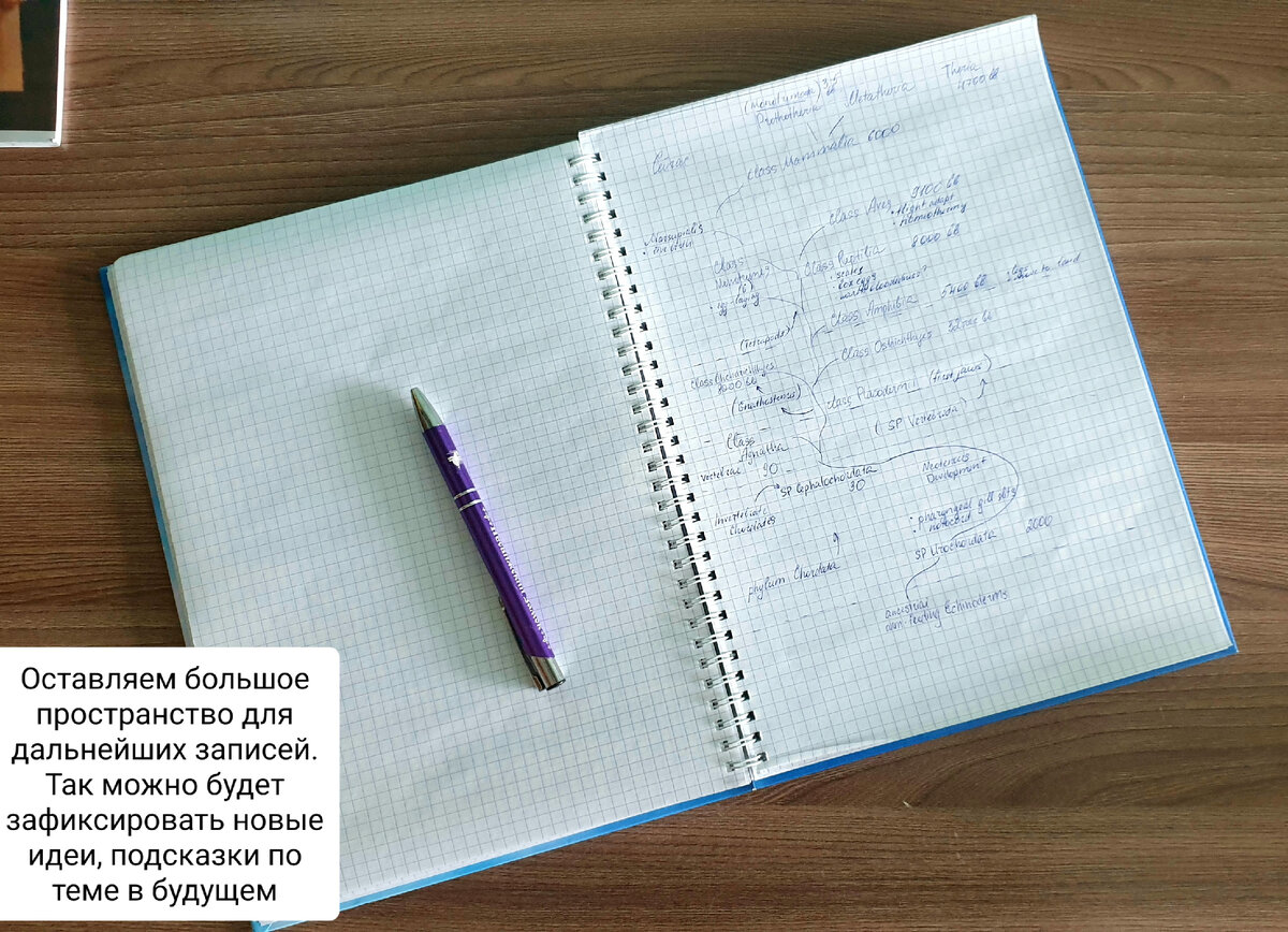 Когда составляем конспект, обязательно оставляем свободное место. Обязательно при перечитывании захочется сделать пометки. Даже если Вы не планируете что-то дописывать, такие промежутки позволят мозгу лучше концентрироваться на зафиксированной информации.