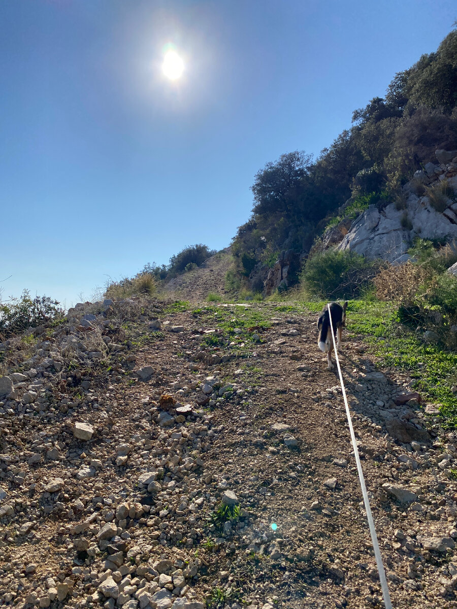 Идем под канаткой на которой можно было подняться 😝