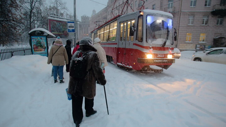 ZAMIR USMANOV/GLOBALLOOKPRESS