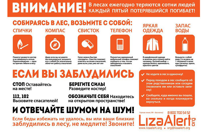   предоставлено «ЛизаАлерт»