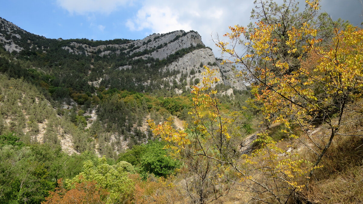 Можжевельник над рекой Черной