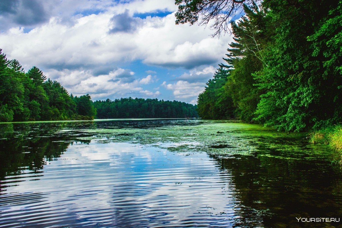                                   Река. Снимок из свободного доступа.