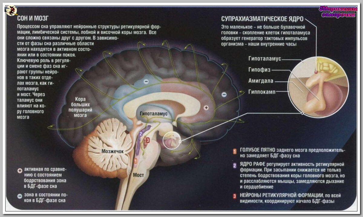 Тайны ночи. Сон. | Маринкины заморочки | Дзен