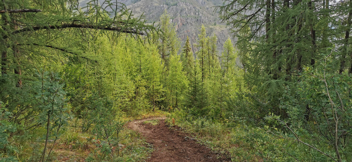 Первый подъём