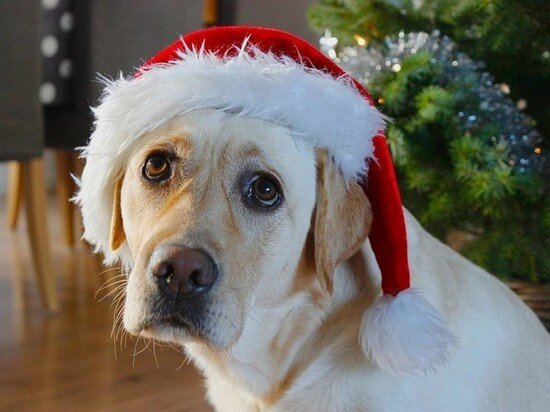     Фото shutterstock.com