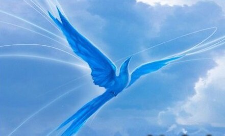 Фото из открытых источников