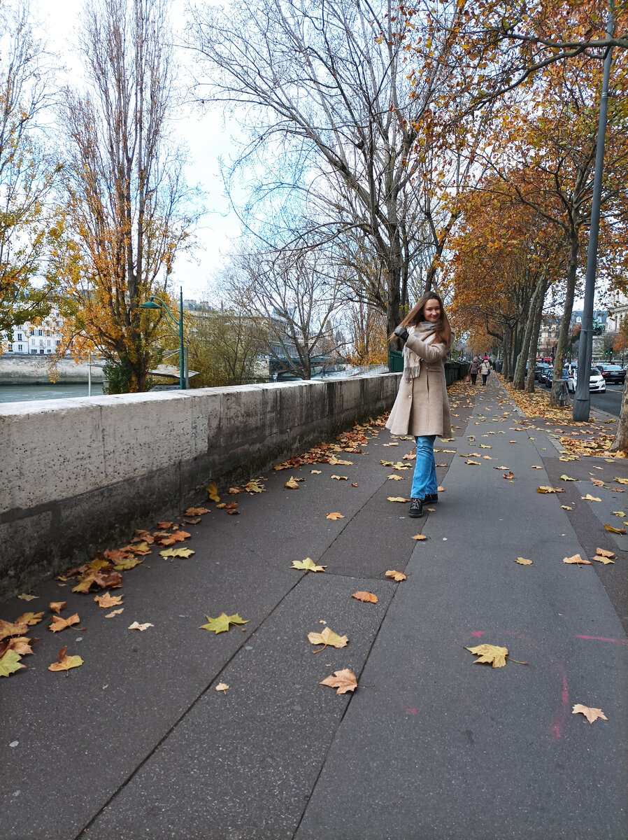 Набережная Сены в декабре, уютно, чисто. 