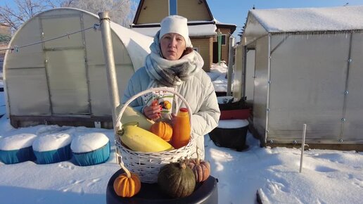 Это ЛУЧШИЕ семена бахчевых . Сеем тыкву, дыни и арбузы