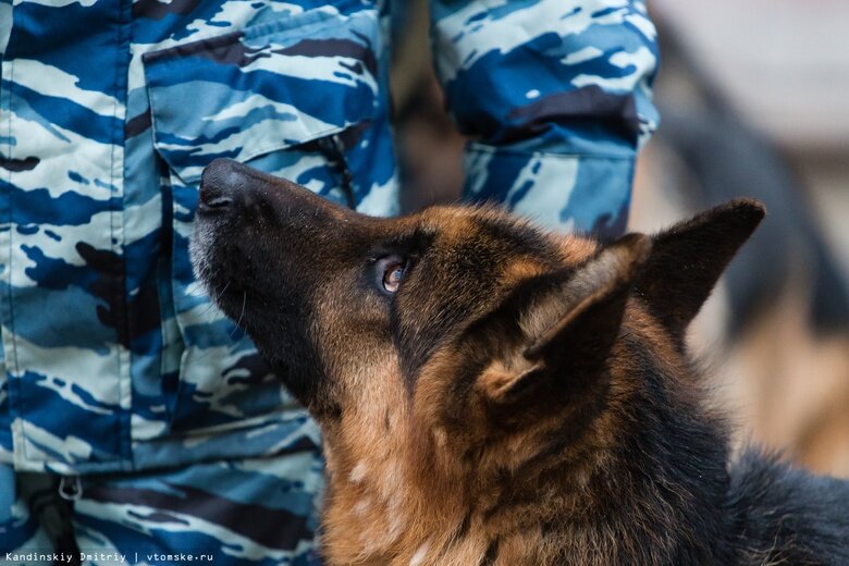    Фото: Дмитрий Кандинский / vtomske.ru