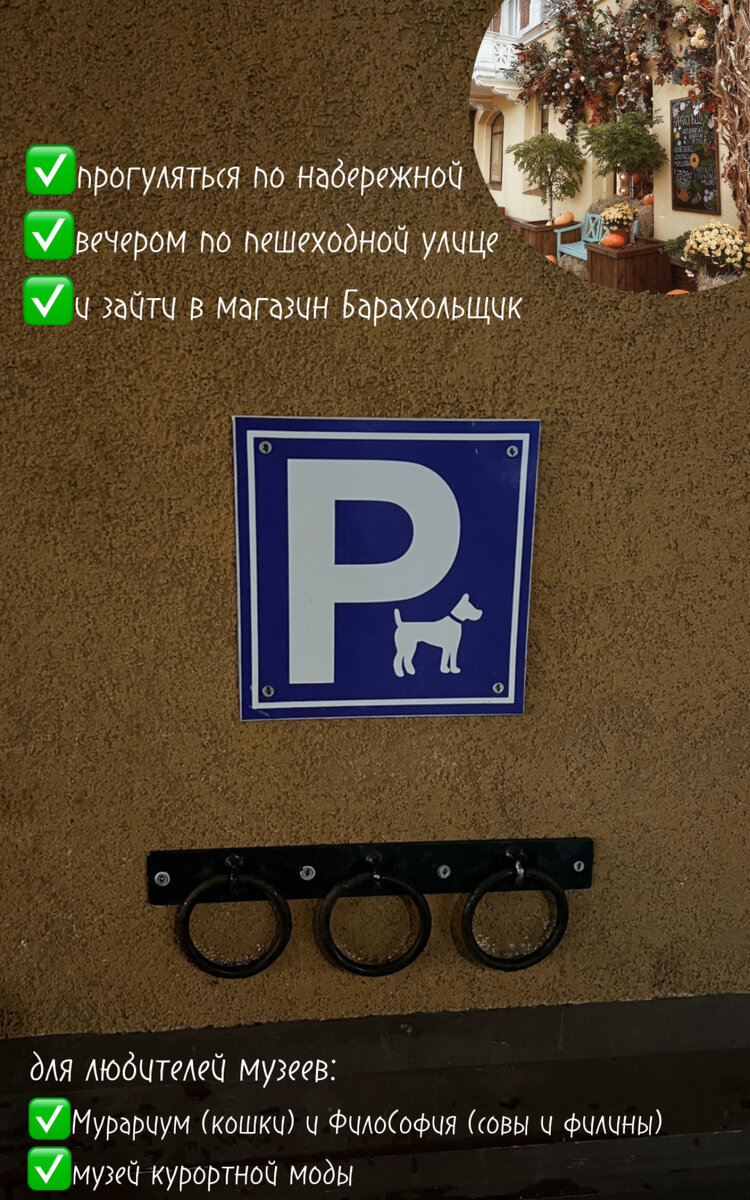 Парковка для собак