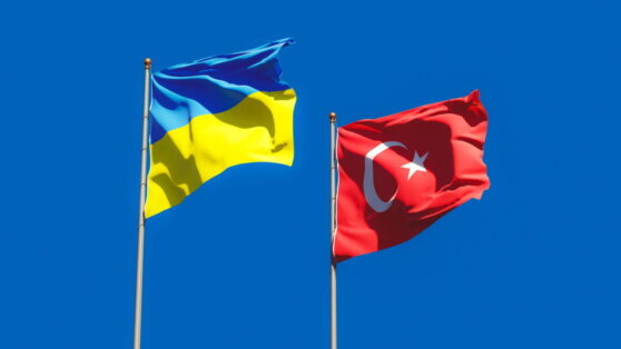    В Турции назвали ложью сообщения о поставках кассетных боеприпасов Украине Анна Черкесова