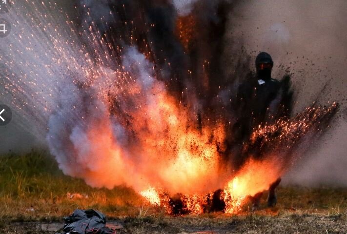 Фото из Яндекса.