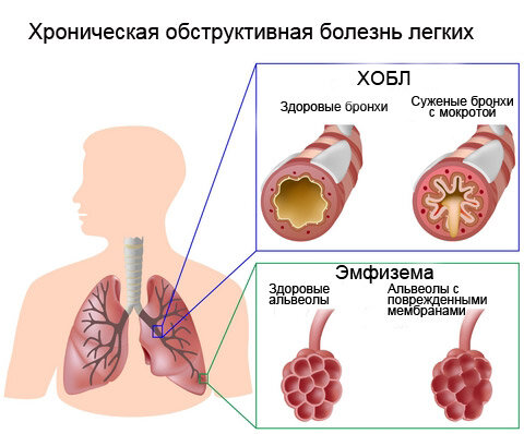 Источник изображения: klinika29.ru.