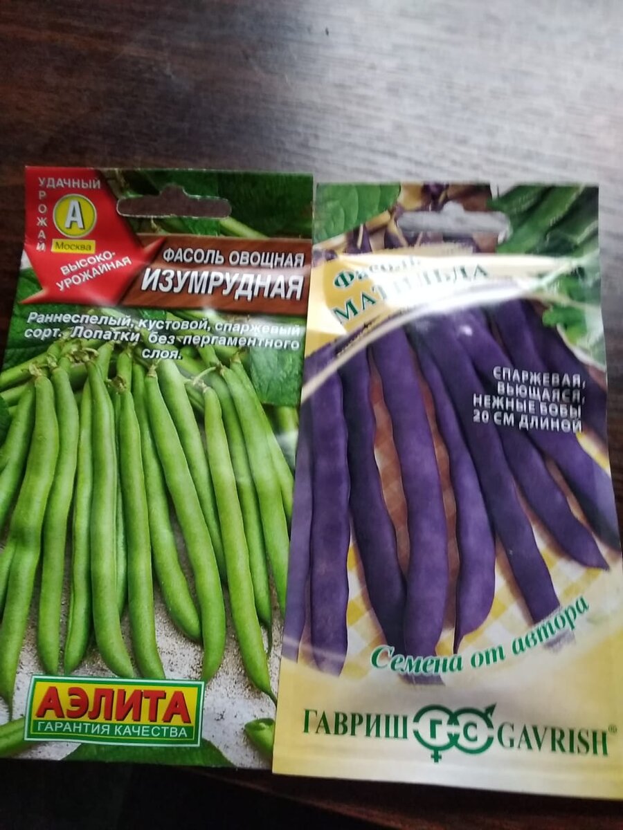 Сорт фасоли Калипсо