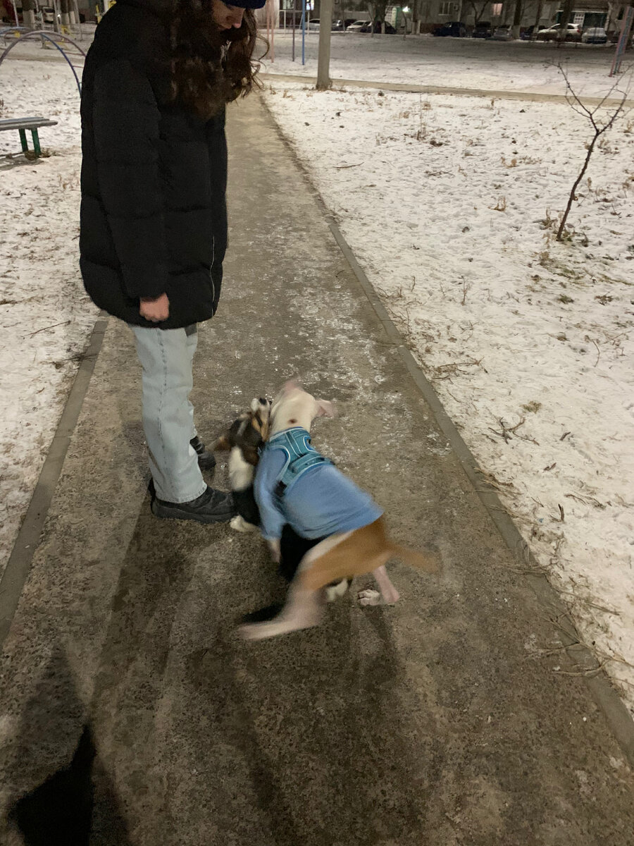 Все фотки получились размазанные😞