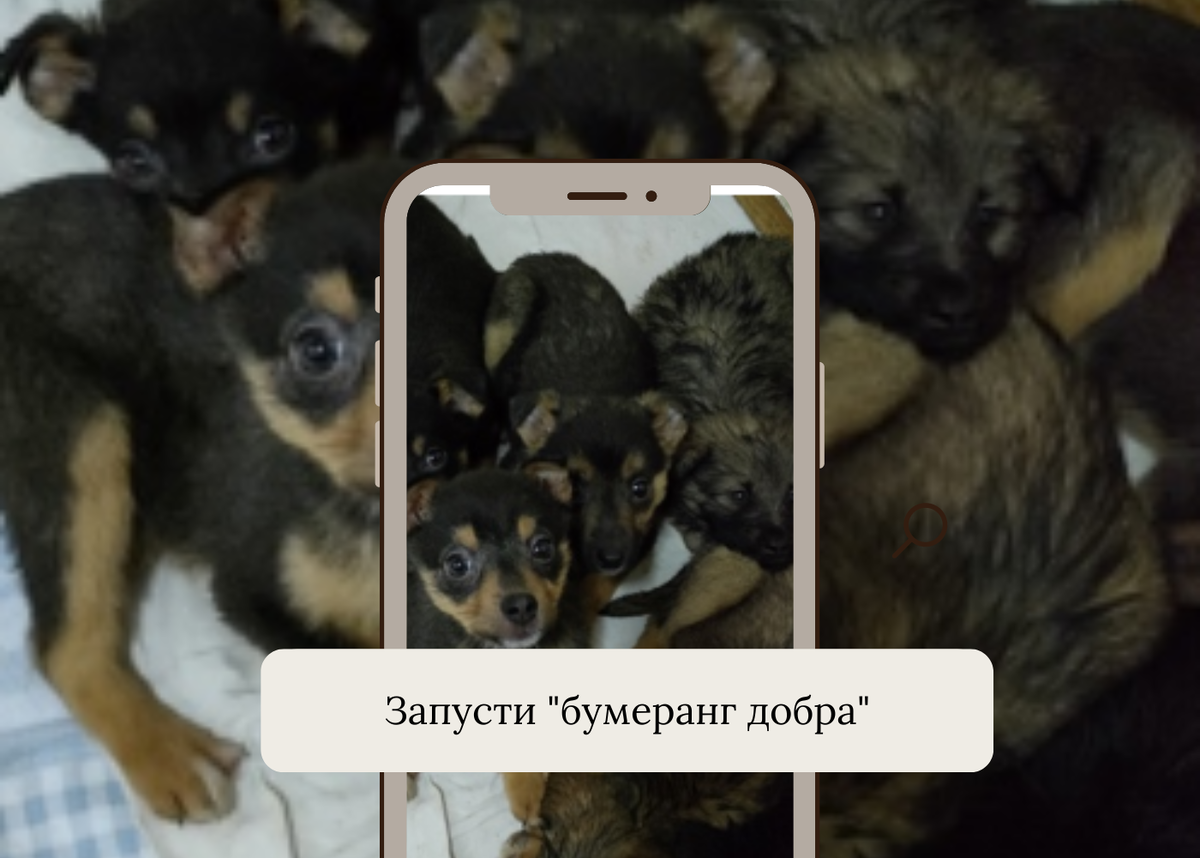 Спасённые ребята из мусорного бака