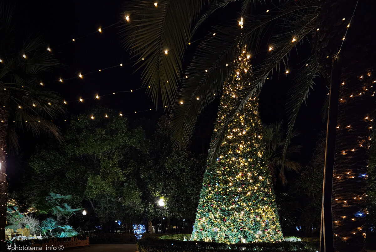 Новогодняя елка в Прибрежном парке ночью,  Новый Афон,  Фото: Корчагина Татьяна