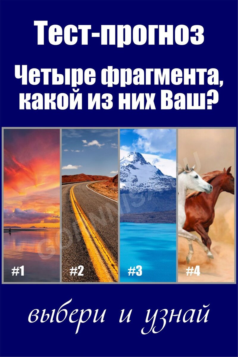 Тесты прогноз 1. Тест прогноз 2 ответы.