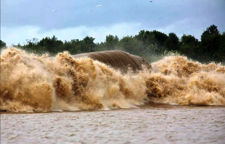 Sursa www.storyblocks.com