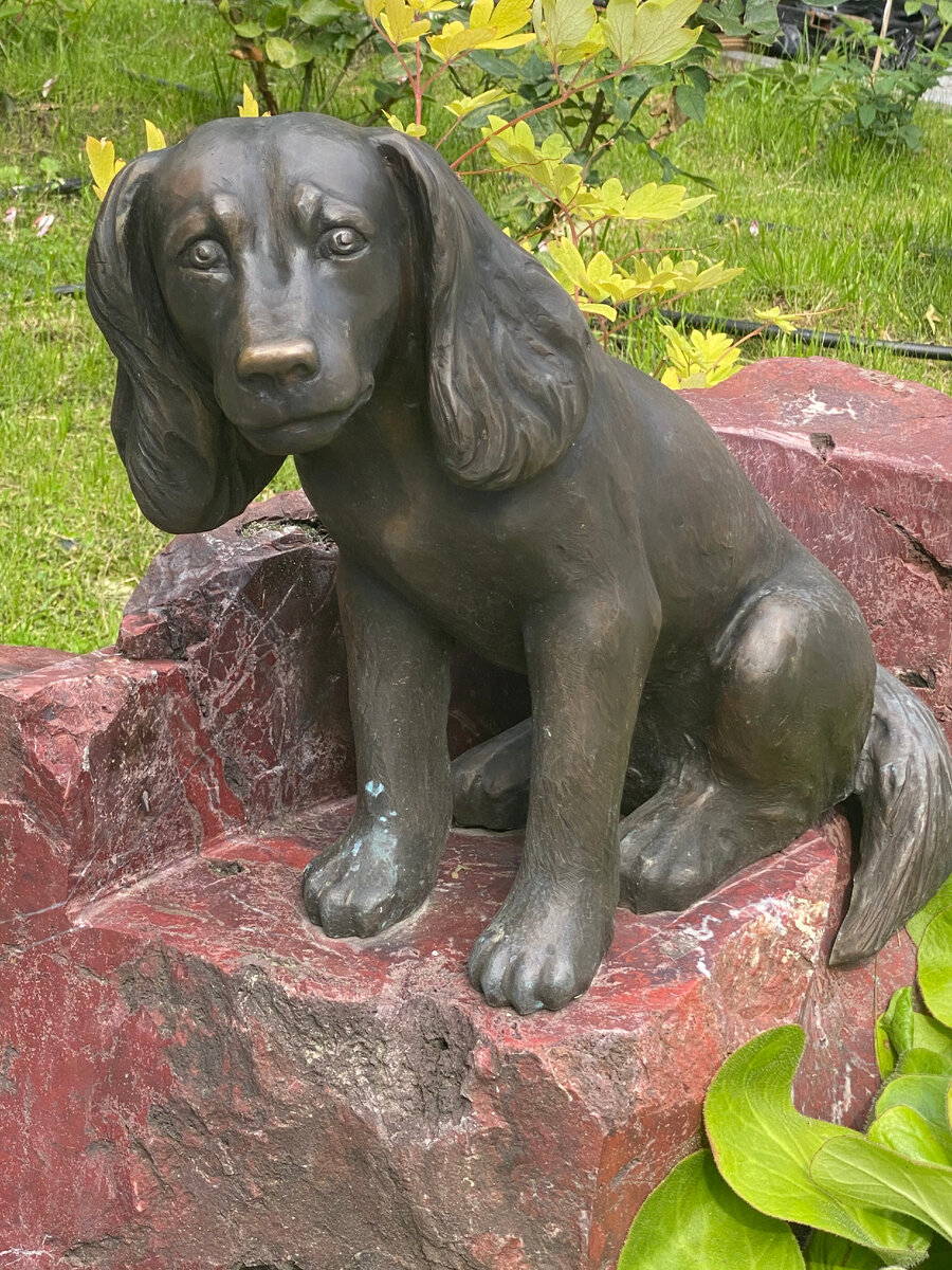 Фото: Дмитрий Соколов