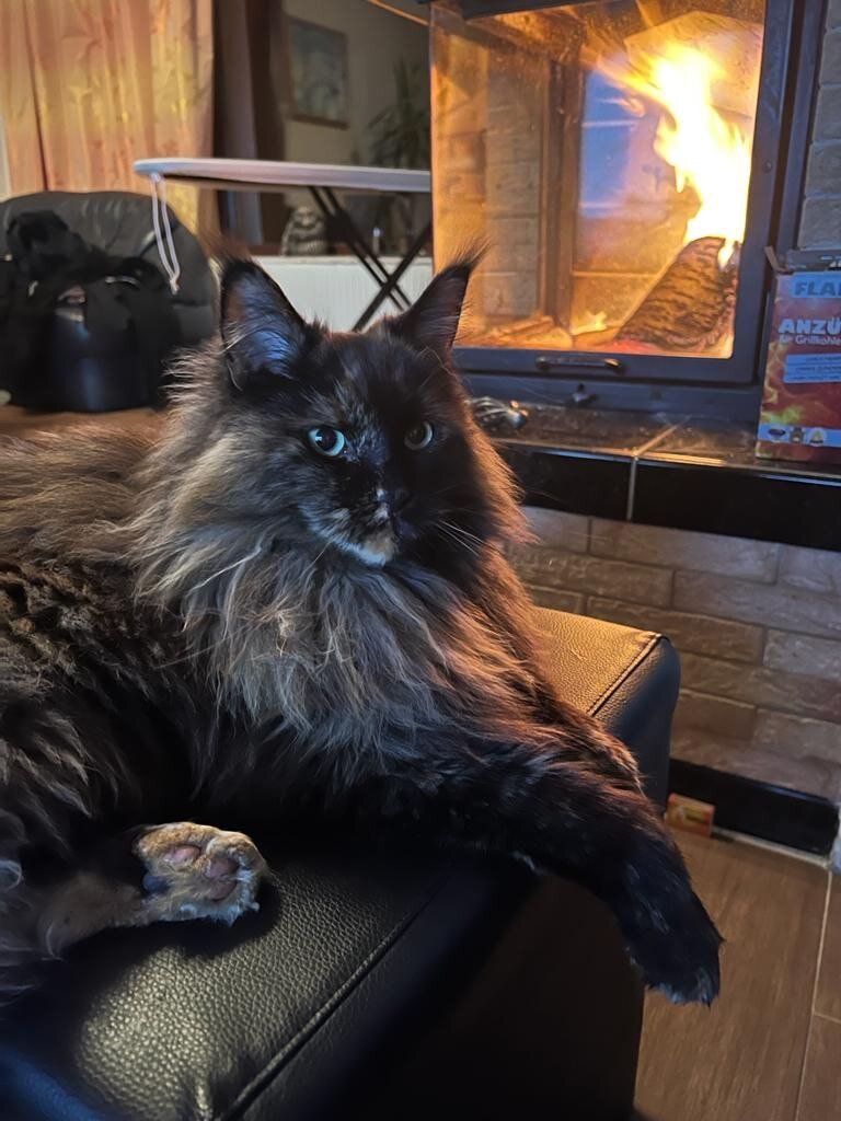 Фото из личного архива.