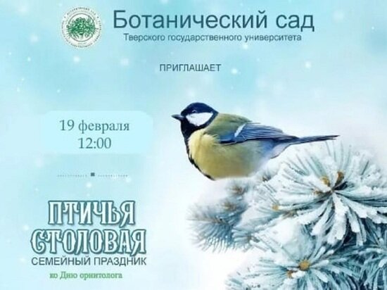     Фото: «Ботанический сад. Тверь».