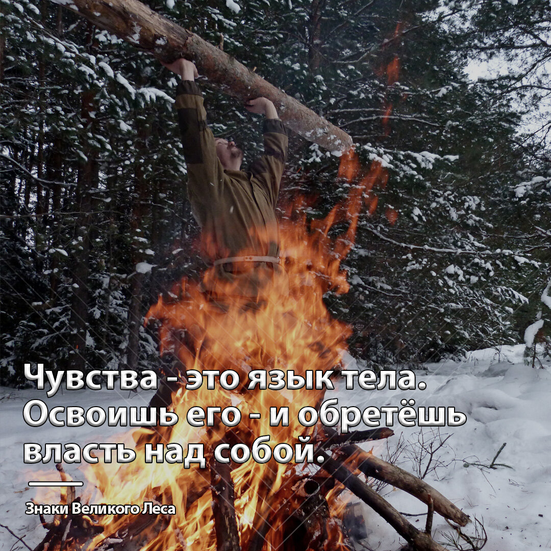 В этой публикации я расскажу о том, как мой младший сын (8 лет) получил свой первый урок психологической подготовки к бою.-2