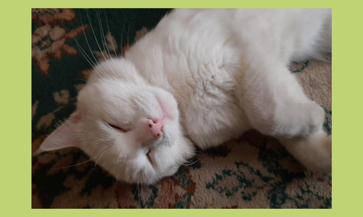 Безмятежность