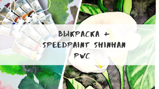 Выкраска ShinHan PWC + speedpaint рисунка