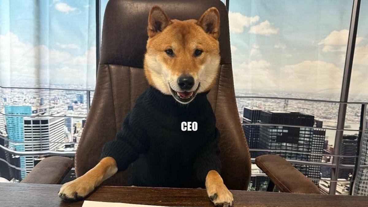    Собака породы сиба-ину:twitter.com/elonmusk