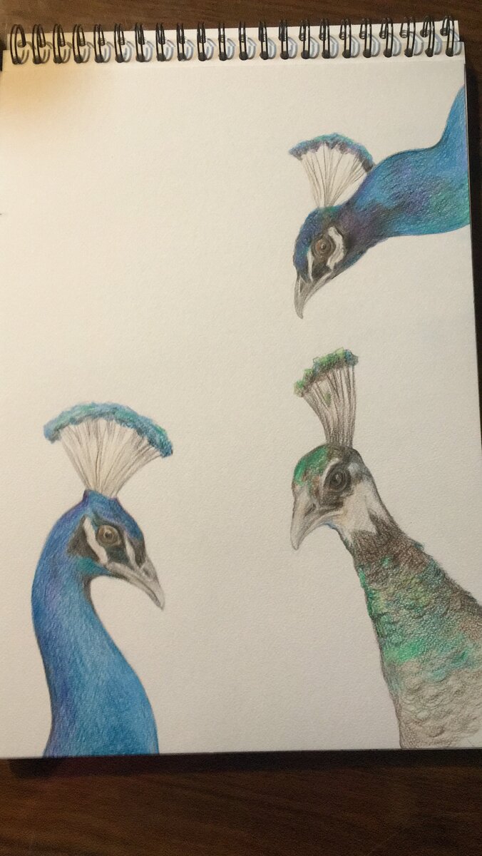 Рисунок находится в Испании. 