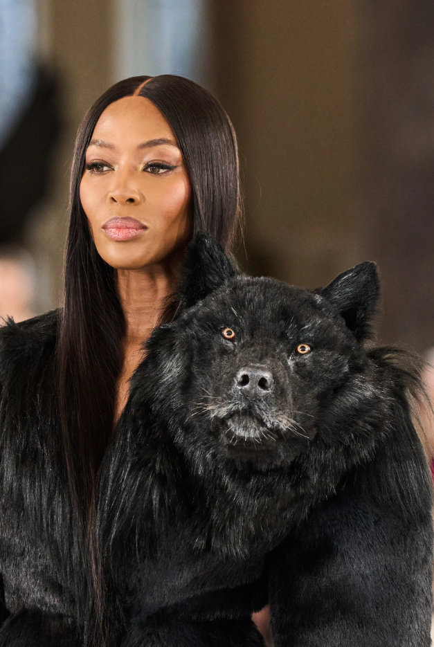 Лев - это гордость, рысь (она же пантера, она же леопард) - похоть, а волк - алчность. Глубокий символический подтекст не восхитил гринписовцев, поэтому коллекция получила массу критических отзывов.