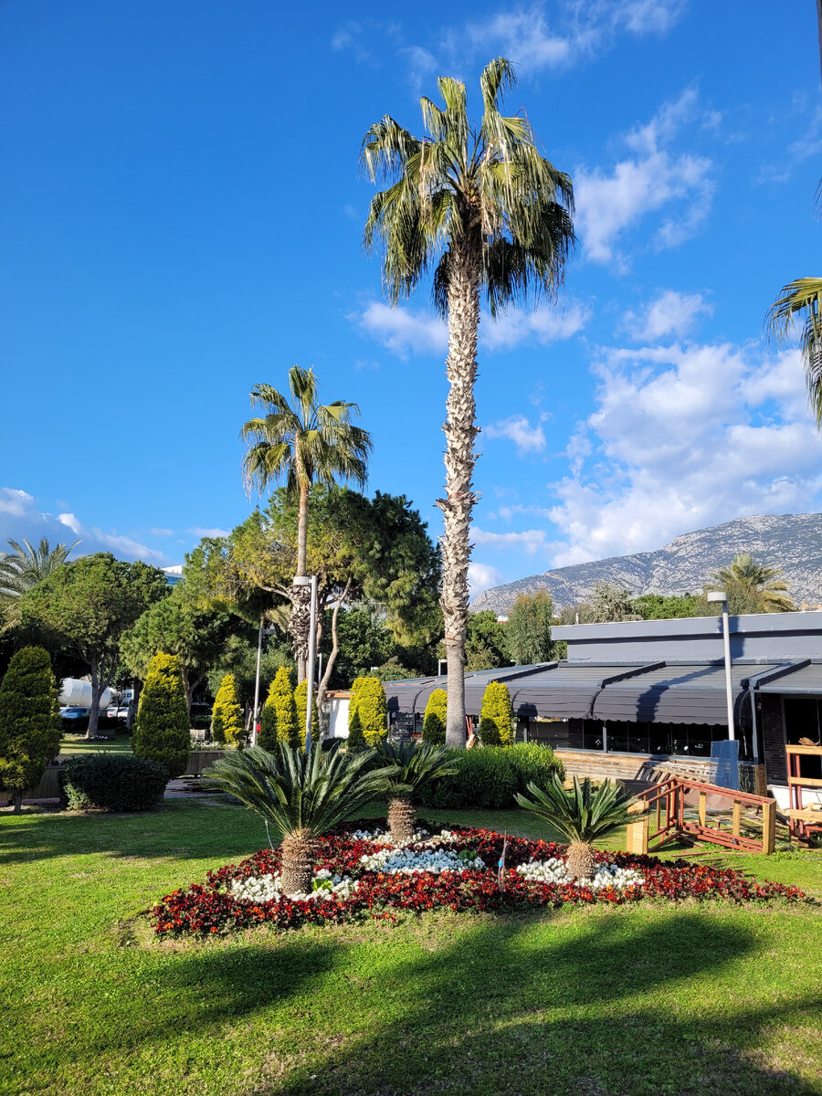 Фото автора.