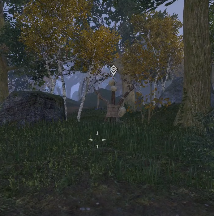 Тотем видений