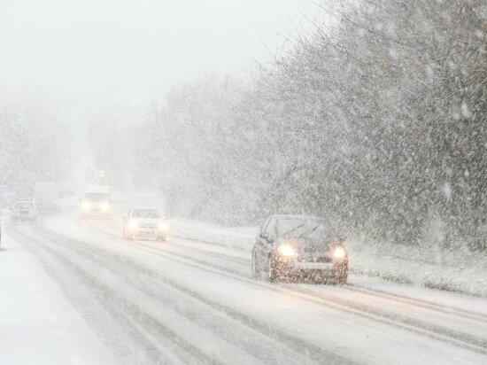     фото вк Администрация Димитровграда